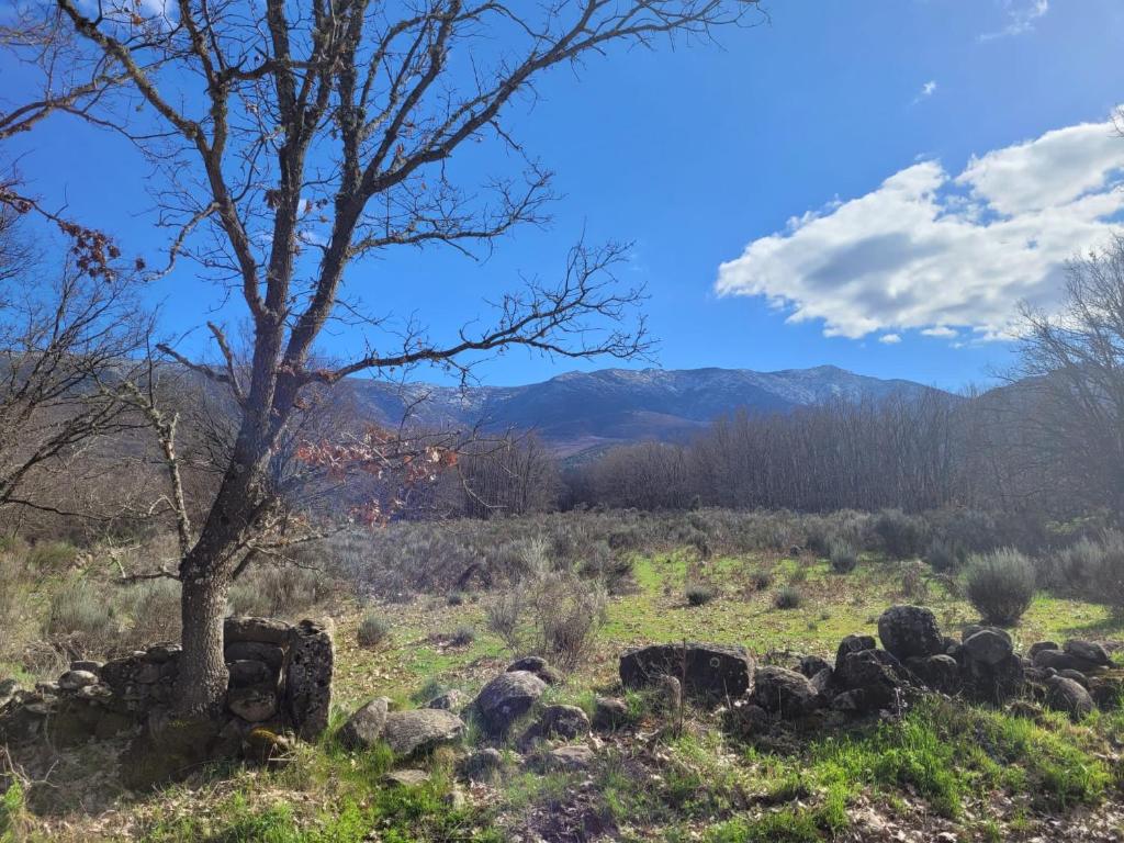 casa rural navaluenga